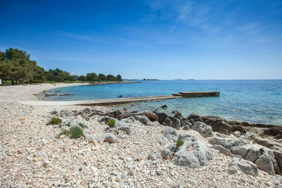Apartment Dolly Completely Renovated 2023 Rovinj Dış mekan fotoğraf